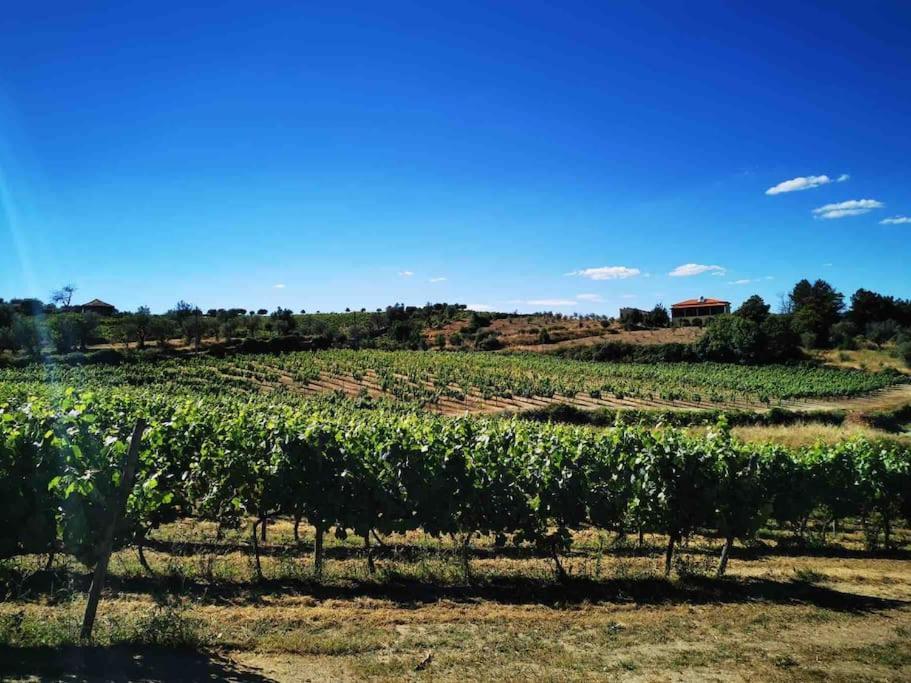 Quinta Da Eira Douro Valley Fermentoes  Ngoại thất bức ảnh