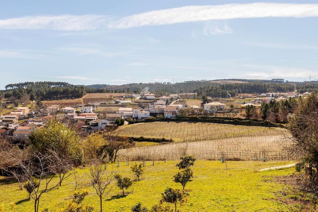 Quinta Da Eira Douro Valley Fermentoes  Ngoại thất bức ảnh