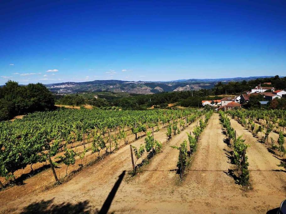 Quinta Da Eira Douro Valley Fermentoes  Ngoại thất bức ảnh