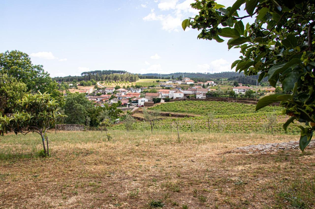 Quinta Da Eira Douro Valley Fermentoes  Ngoại thất bức ảnh